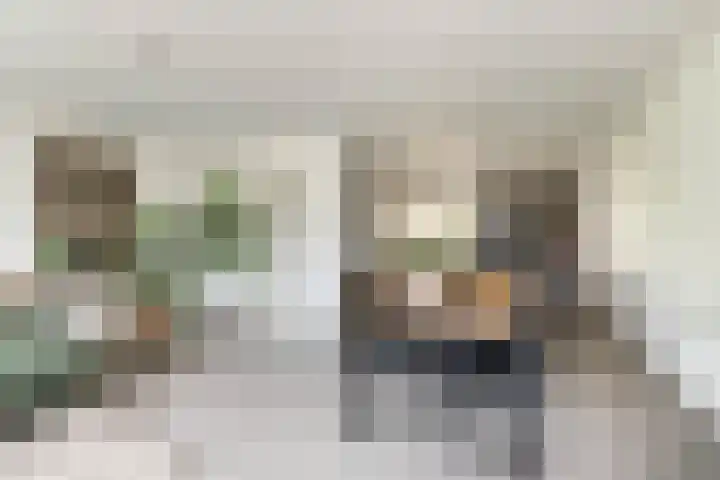 Grote Buitendijk 284 Velserbroek thumbnail 8