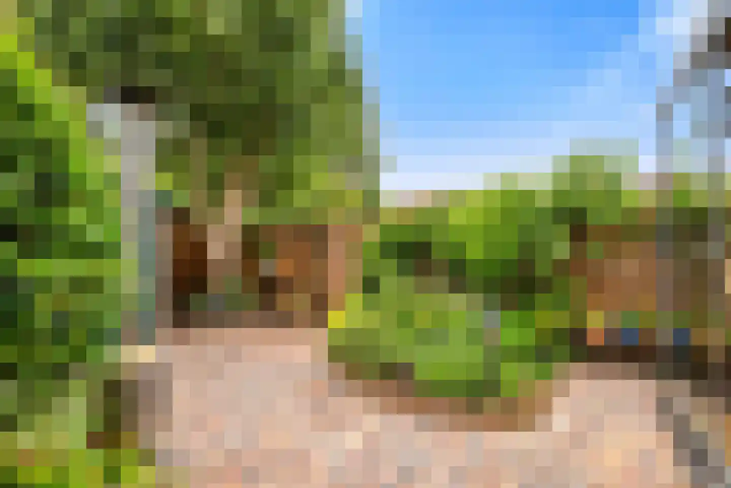 Grote Buitendijk 30 Velserbroek thumbnail 30
