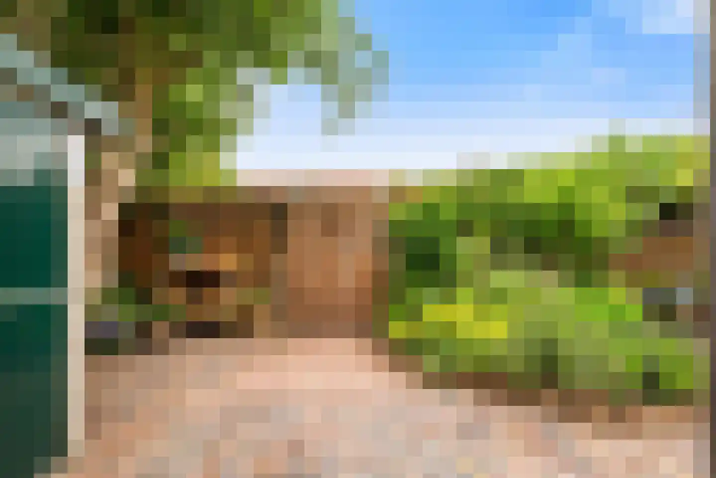 Grote Buitendijk 30 Velserbroek thumbnail 31