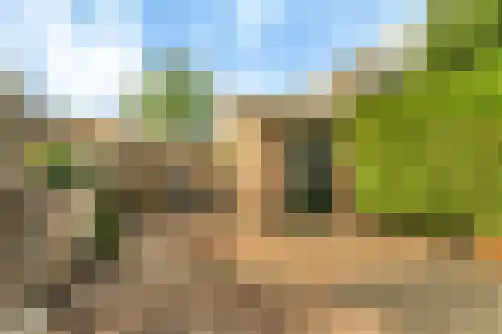 Grote Buitendijk 36 Velserbroek thumbnail 14