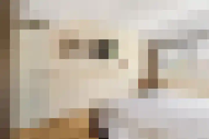 Grote Buitendijk 36 Velserbroek thumbnail 33