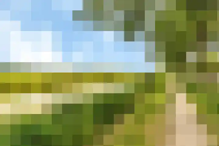 Grote Buitendijk 36 Velserbroek thumbnail 43