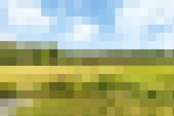 Grote Buitendijk 36 Velserbroek thumbnail 44