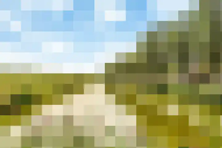 Grote Buitendijk 36 Velserbroek thumbnail 45