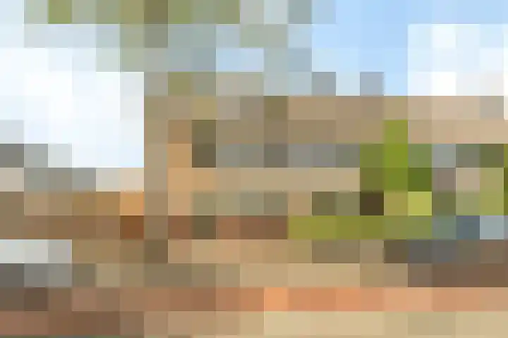 Grote Buitendijk 36 Velserbroek thumbnail 46