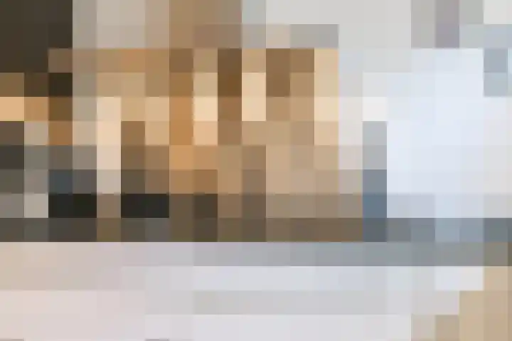 Grote Buitendijk 4 Velserbroek thumbnail 15
