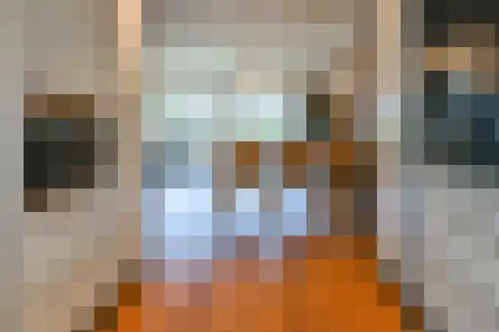 Grote Buitendijk 4 Velserbroek thumbnail 16