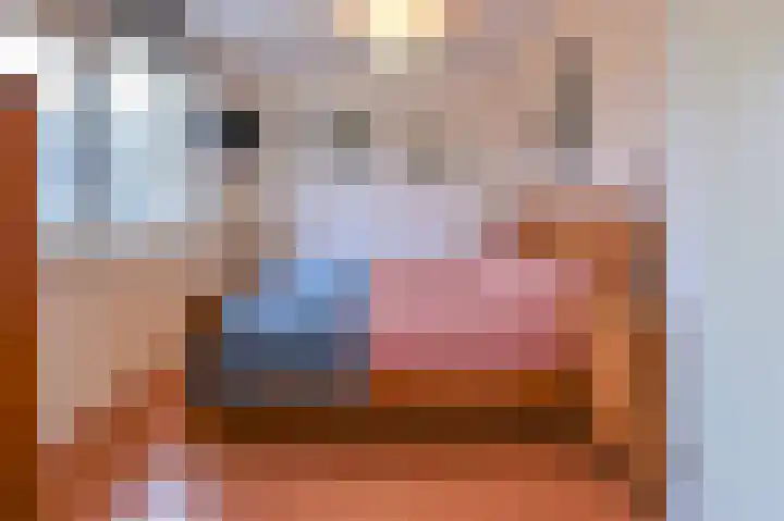 Grote Buitendijk 4 Velserbroek thumbnail 21
