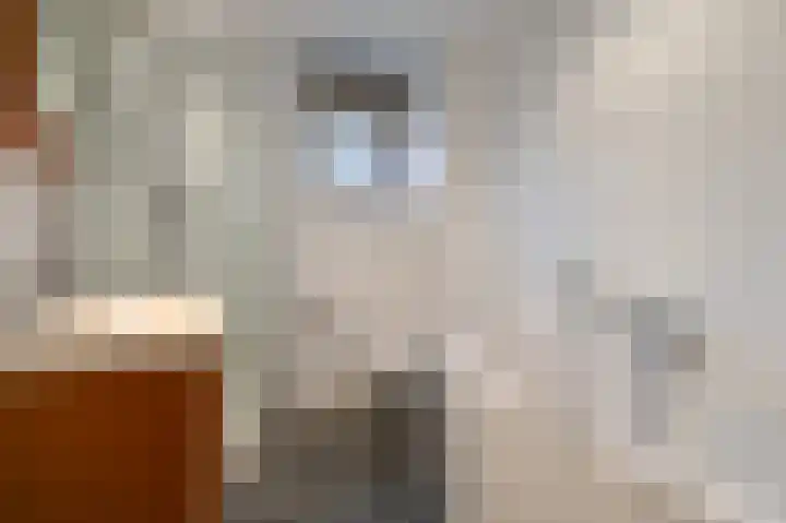 Grote Buitendijk 4 Velserbroek thumbnail 25
