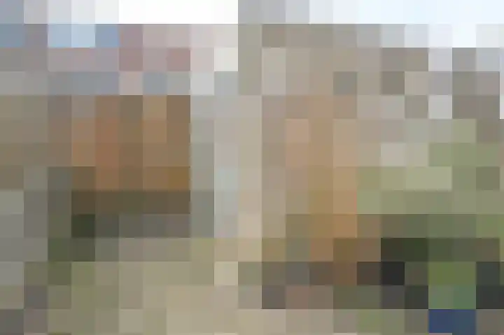 Grote Buitendijk 4 Velserbroek thumbnail 35