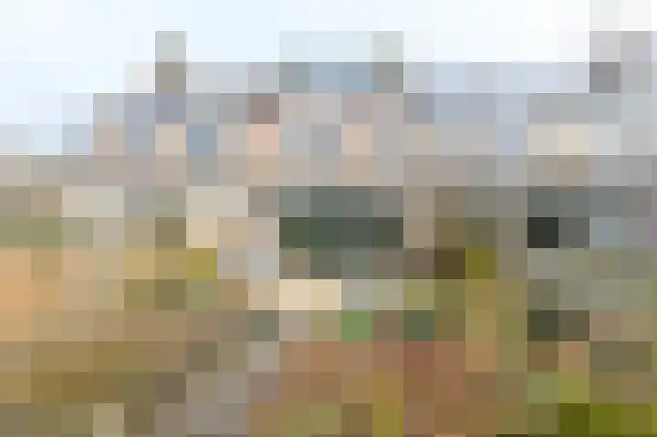 Grote Buitendijk 4 Velserbroek thumbnail 36