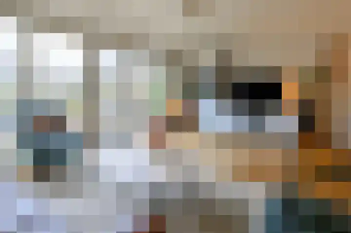 Grote Buitendijk 4 Velserbroek thumbnail 4