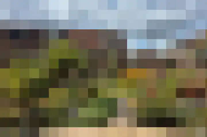 Grote Buitendijk 4 Velserbroek thumbnail 44