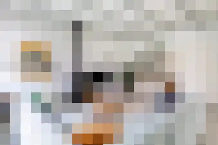 Grote Buren 19 Wergea thumbnail 17