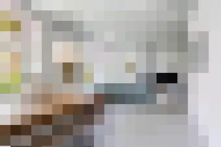 Grote Buren 19 Wergea thumbnail 19