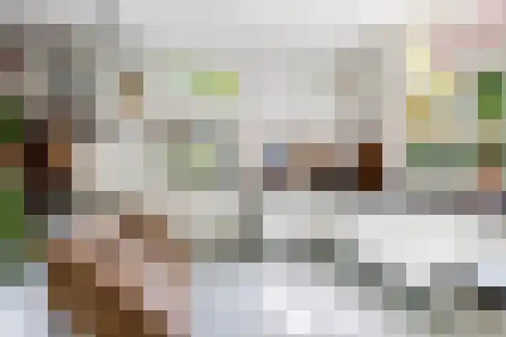 Grote Buren 19 Wergea thumbnail 26