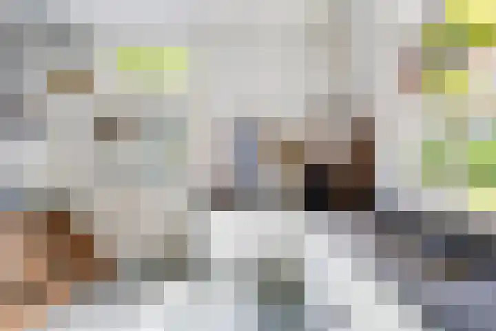 Grote Buren 19 Wergea thumbnail 27
