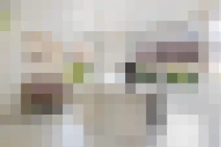 Grote Buren 19 Wergea thumbnail 30