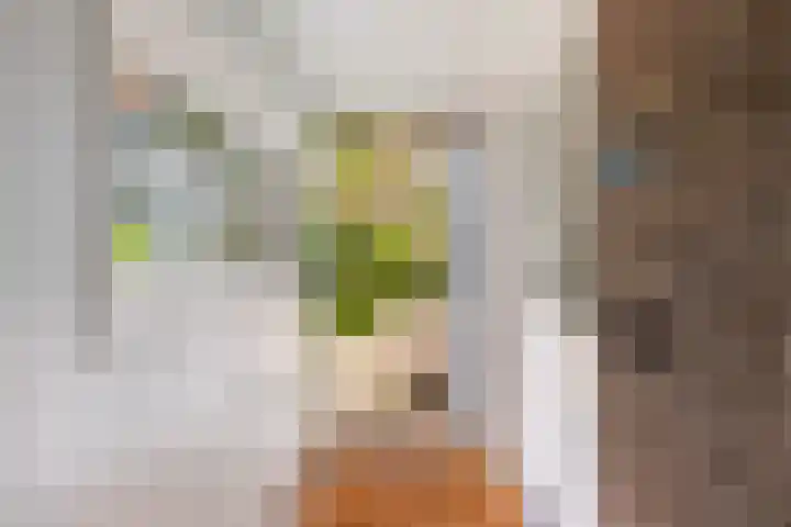 Grote Buren 19 Wergea thumbnail 32