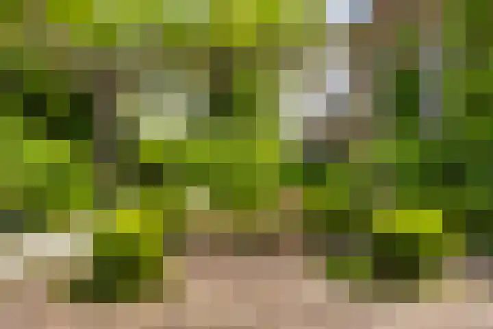Grote Buren 19 Wergea thumbnail 35