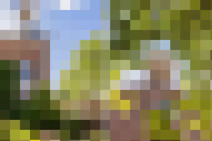 Grote Buren 19 Wergea thumbnail 36