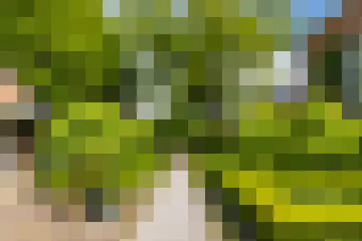 Grote Buren 19 Wergea thumbnail 39