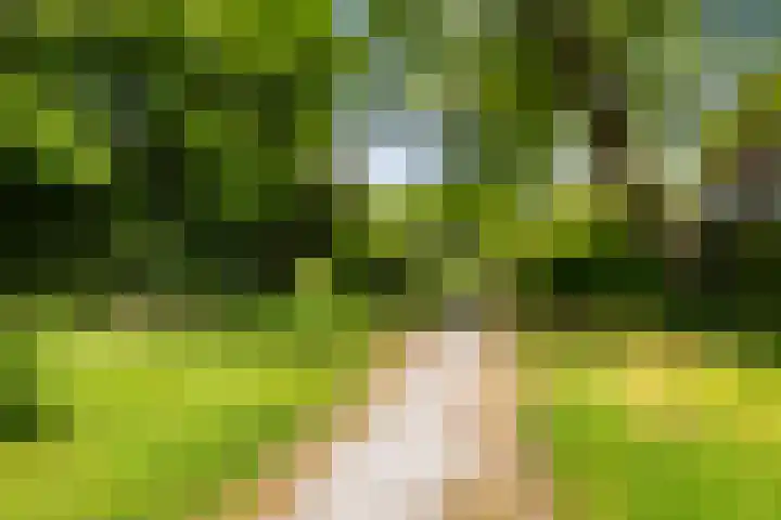 Grote Buren 19 Wergea thumbnail 40