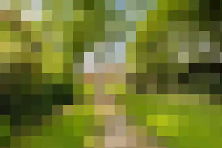 Grote Buren 19 Wergea thumbnail 41