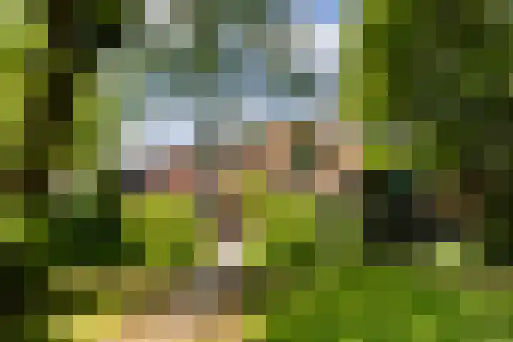 Grote Buren 19 Wergea thumbnail 42