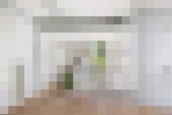 Grote Buren 19 Wergea thumbnail 43