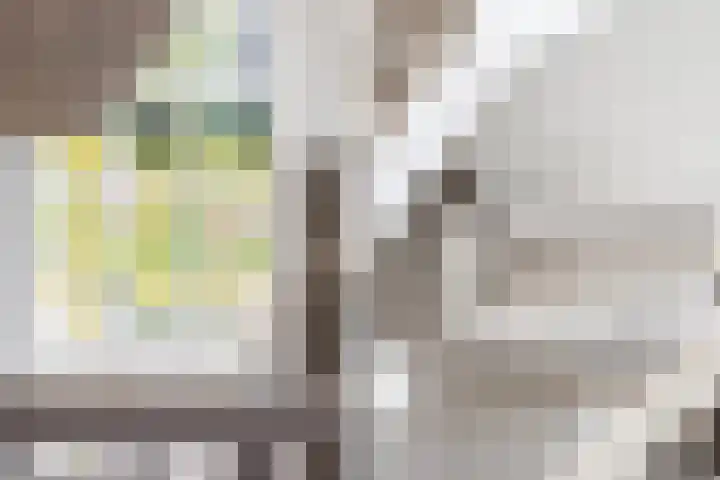 Grote Buren 19 Wergea thumbnail 45