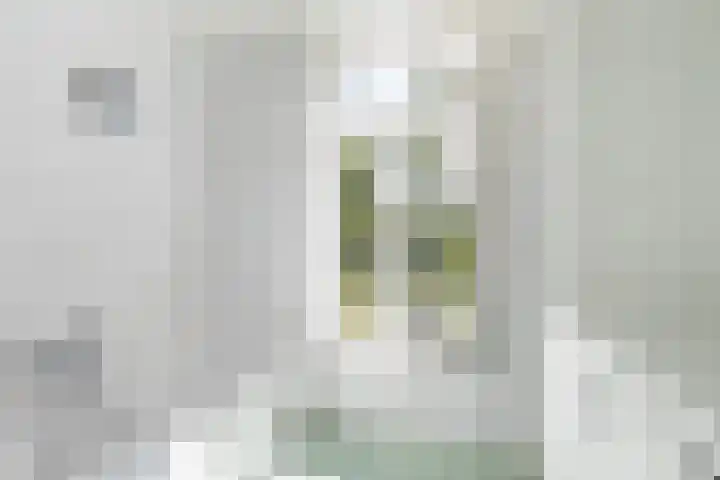 Grote Buren 19 Wergea thumbnail 52