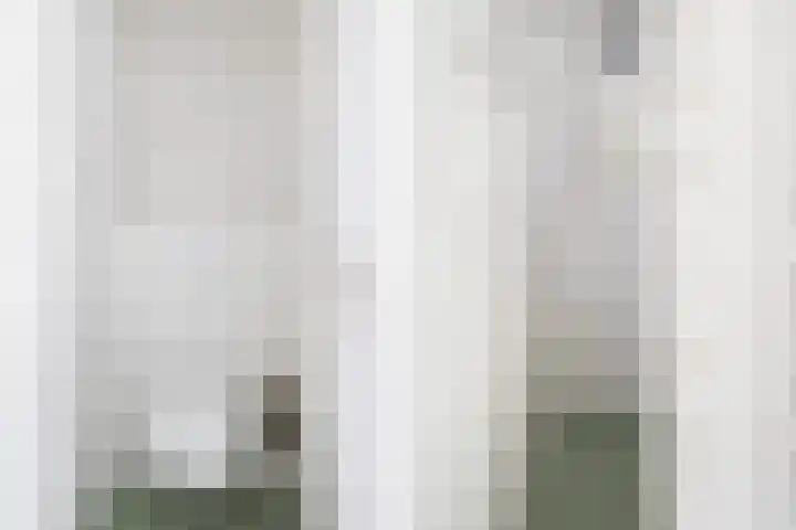 Grote Buren 19 Wergea thumbnail 53