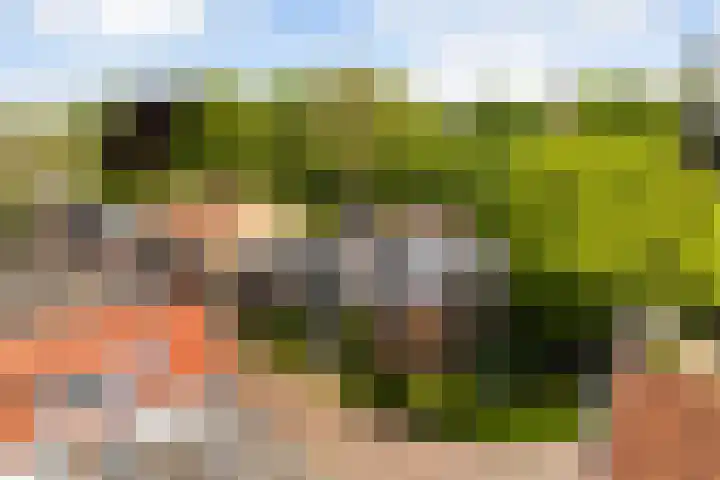 Grote Buren 19 Wergea thumbnail 6