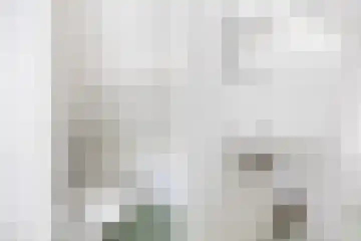 Grote Buren 19 Wergea thumbnail 64