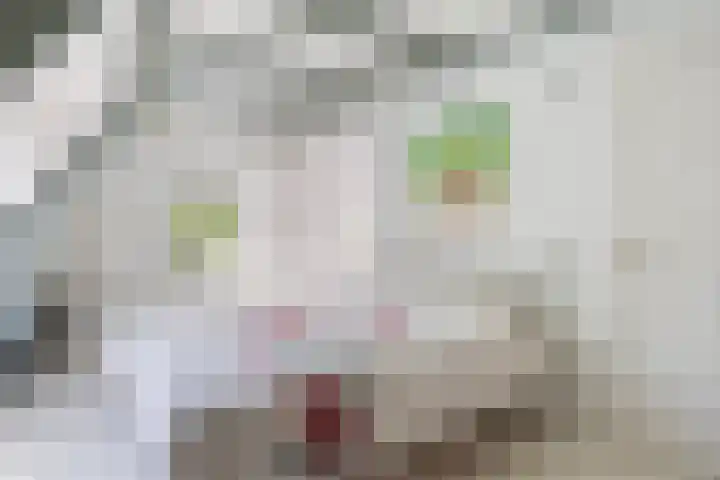 Grote Buren 19 Wergea thumbnail 65