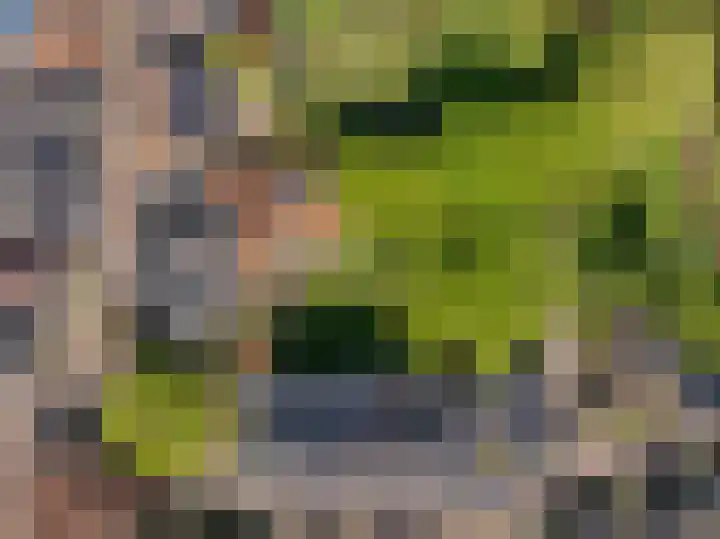 Grote Buren 19 Wergea thumbnail 66
