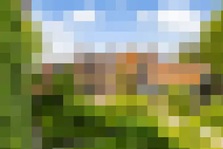Grote Buren 19 Wergea thumbnail 67