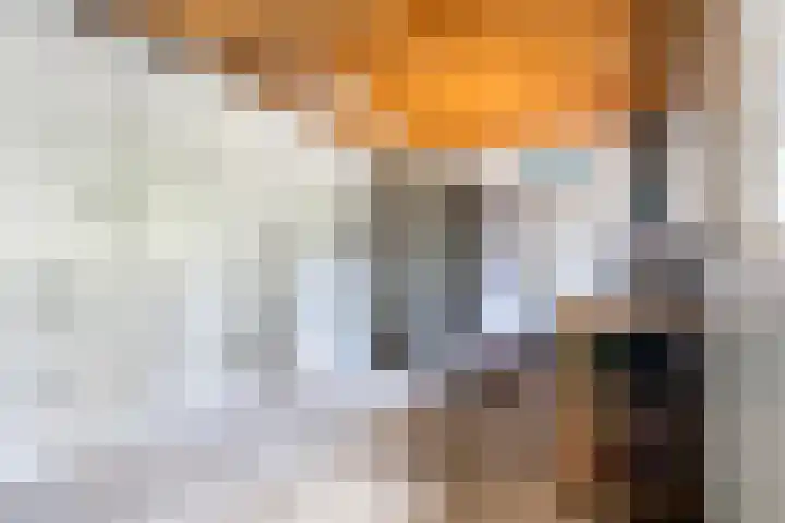 Grote Buren 19 Wergea thumbnail 69