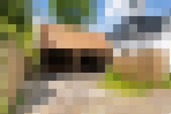 Grote Buren 19 Wergea thumbnail 70