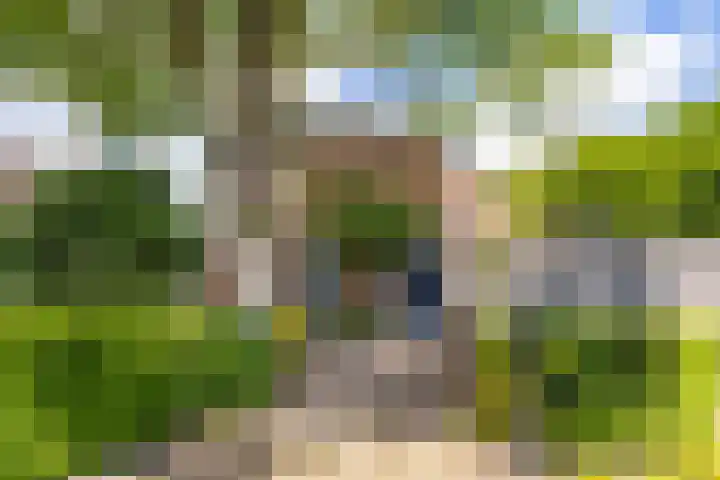 Grote Buren 19 Wergea thumbnail 72