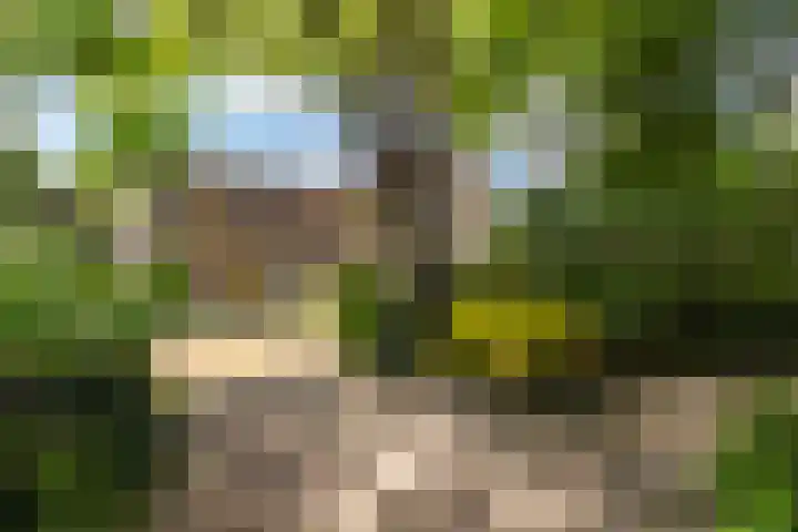 Grote Buren 19 Wergea thumbnail 73