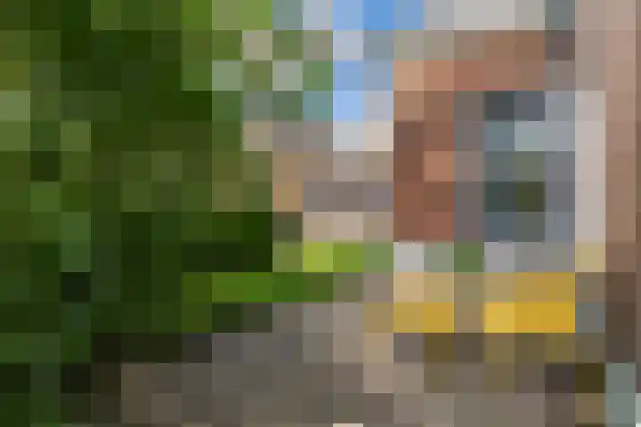 Grote Buren 19 Wergea thumbnail 74