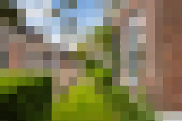 Grote Buren 19 Wergea thumbnail 75