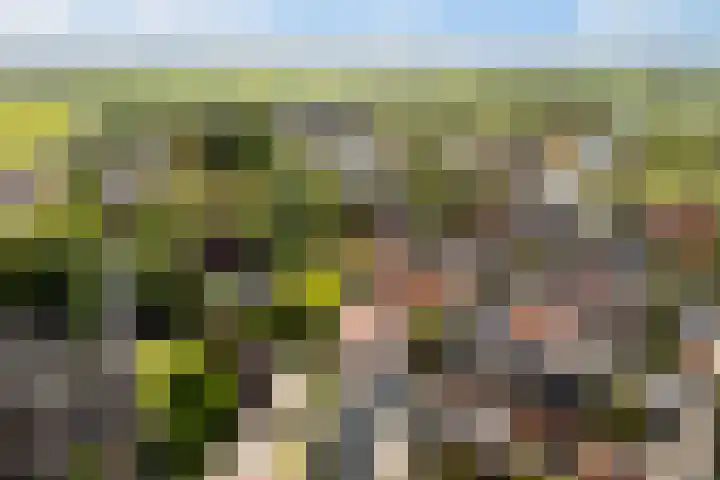 Grote Buren 19 Wergea thumbnail 79