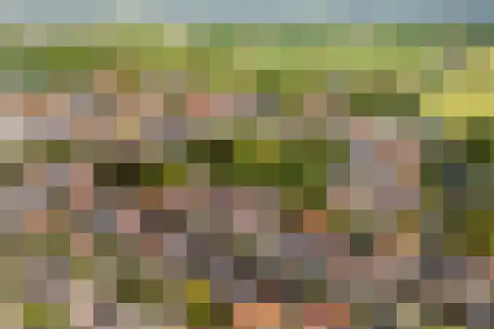 Grote Buren 19 Wergea thumbnail 80