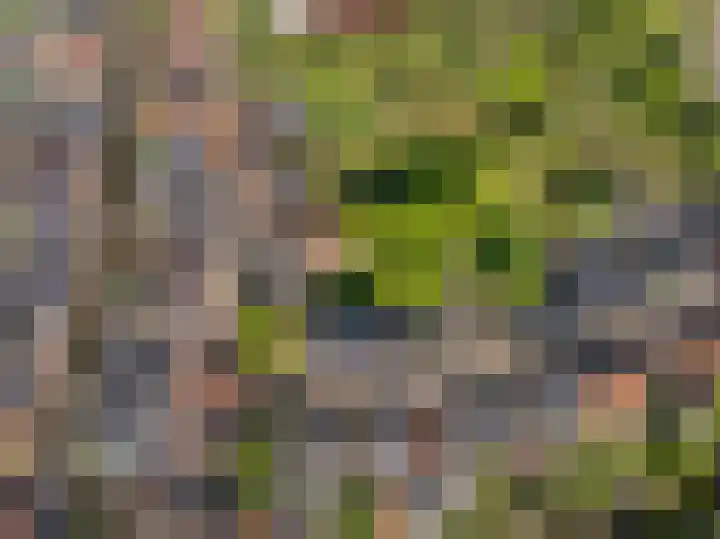 Grote Buren 19 Wergea thumbnail 81