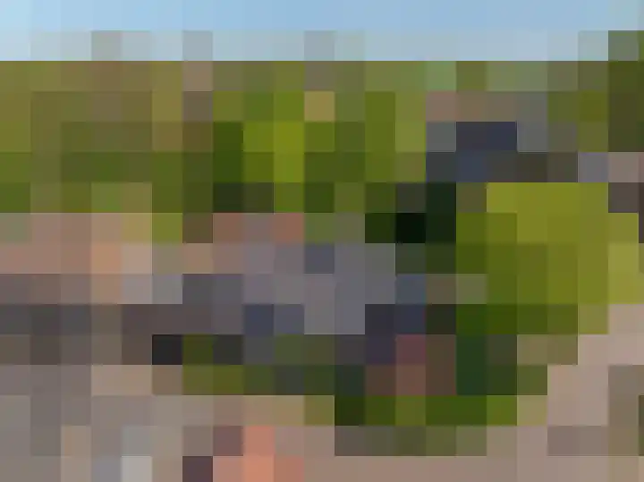Grote Buren 19 Wergea thumbnail 82