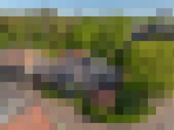Grote Buren 19 Wergea thumbnail 83