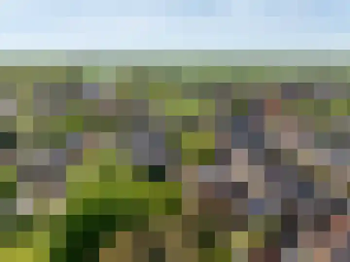 Grote Buren 19 Wergea thumbnail 87